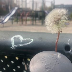 Meet your Posher, Annie